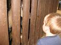Zoo 01